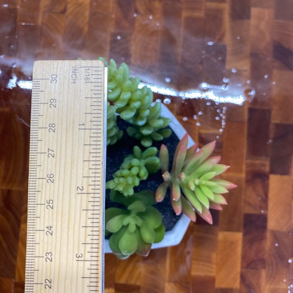 Faux succulents, 3-4 in 2”H hexagon shaped pots (2 available for purchase) - Picture 8 of 14